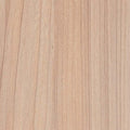 Melamina Ulmeiro Piscis · Natura